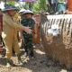 Program Ketahanan Pangan_ 5.642 Hektar Lahan di Pohuwato Disulap jadi Sawah Baru
