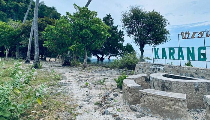 Sisa Kemegahan: Batu Karang Putih Menanti Ajal di Tengah Ketidakpedulian