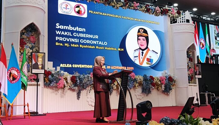 Wagub Idah Tekankan Edukasi Stroke: Jangan Dianggap Enteng, Banyak Nyawa Terpengaruh