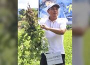 Zulfikar Panen Perdana dengan Warga Tilihuwa