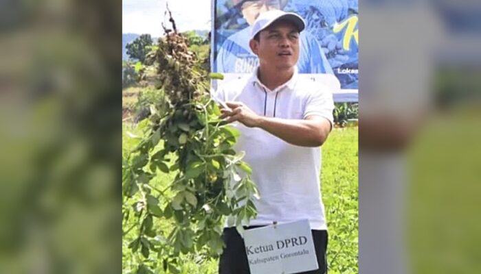 Zulfikar Panen Perdana dengan Warga Tilihuwa