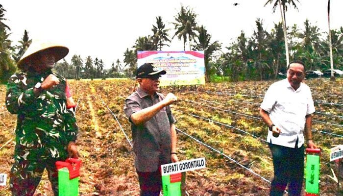Pemkab Gorontalo dan Polri Perkuat Sinergi Ketahanan Pangan
