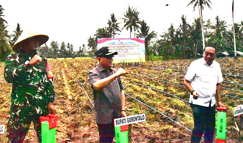 Pemkab Gorontalo dan Polri Perkuat Sinergi Ketahanan Pangan