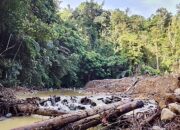 Pemuda Asal Wonosari Siap Laporkan Nama-nama Terduga Pelaku Tambang Ilegal Hutan Sava ke Kapolda