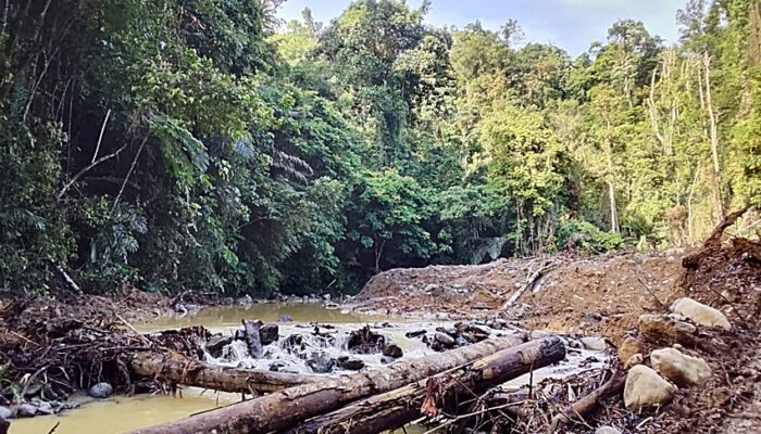Pemuda Asal Wonosari Siap Laporkan Nama-nama Terduga Pelaku Tambang Ilegal Hutan Sava ke Kapolda