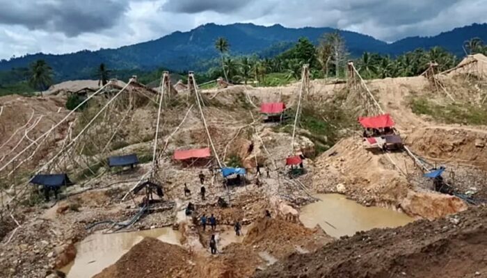 Praktisi Hukum: Jangan Seret Gubernur ke Persoalan Hukum Tambang Ilegal
