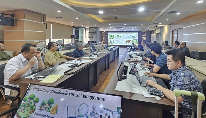 Terima Audiensi Tokyo Gas dan Hanwa, Kementerian Kehutanan Tegaskan Komitmen Pengelolaan Hutan Lestari