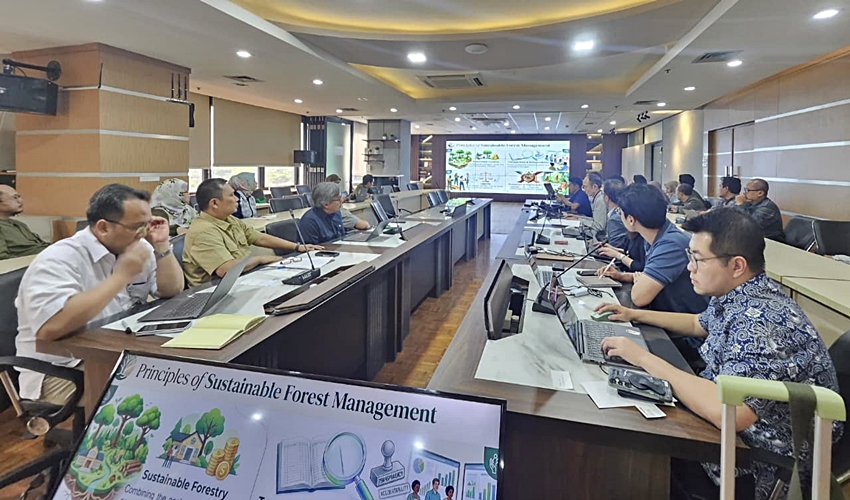 Terima Audiensi Tokyo Gas dan Hanwa, Kementerian Kehutanan Tegaskan Komitmen Pengelolaan Hutan Lestari