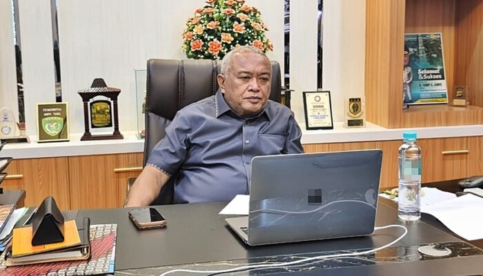Wabup Tonny Audiensi dengan Kemenkes RI, Bahas Isu Mendesak Layanan Kesehatan