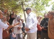 Blusukan ke Kawasan Transmigrasi, Gubernur Gusnar Serap Aspirasi Petani Jagung