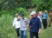 Didorong Kementan, Holding Perkebunan Nusantara Percepat Hilirisasi Gambir Nasional