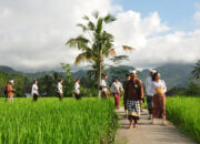 Maharasa Gastronomy Experience Angkat Spiritualitas Pangan dan Tradisi Luhur Bali