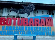 Mahasiswa Gorontalo Promosikan Wisata Hiu Paus Botubarani ke Dunia Internasional