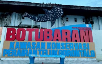 Mahasiswa Gorontalo Promosikan Wisata Hiu Paus Botubarani ke Dunia Internasional