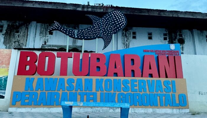 Mahasiswa Gorontalo Promosikan Wisata Hiu Paus Botubarani ke Dunia Internasional