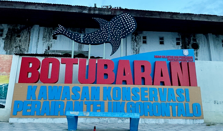 Mahasiswa Gorontalo Promosikan Wisata Hiu Paus Botubarani ke Dunia Internasional
