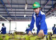 Pertamina: Info Pendaftaran Pangkalan LPG 3 Kg Berbayar Hoaks