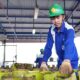 Pertamina_ Info Pendaftaran Pangkalan LPG 3 Kg Berbayar Hoaks