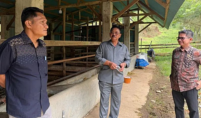 Rum Pagau Bidik Model Peternakan Modern, Boalemo Disiapkan Jadi Sentra Ternak Unggulan