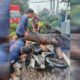BPBD Kota Gorontalo Bergerak Cepat Tangani Pohon Tumbang Akibat Cuaca Ekstrem