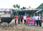 Citimall Gorontalo Tebar Kebaikan Iduladha 1447 H, Salurkan Hewan Kurban For Warga