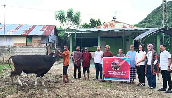 Citimall Gorontalo Tebar Kebaikan Iduladha 1447 H, Salurkan Hewan Kurban For Warga