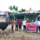 Citimall Gorontalo Tebar Kebaikan Iduladha 1447 H, Salurkan Hewan Kurban For Warga