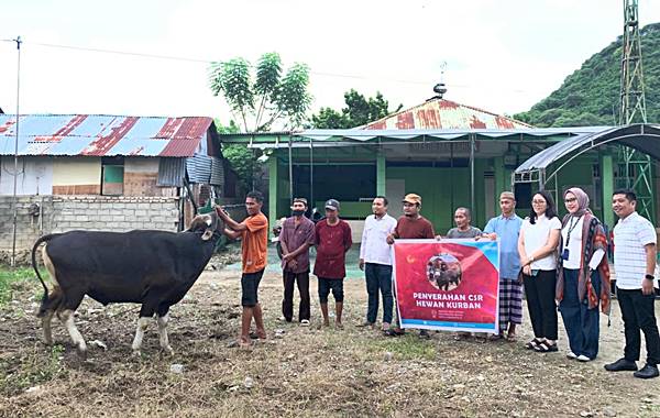 Citimall Gorontalo Tebar Kebaikan Iduladha 1447 H, Salurkan Hewan Kurban For Warga