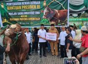 Gubernur Gusnar Serahkan Sapi Kurban Presiden Berbobot 1,13 Ton di Masjid Sabilurrasyad UNG
