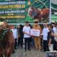 Gubernur Gusnar Serahkan Sapi Kurban Presiden Berbobot 1,13 Ton di Masjid Sabilurrasyad UNG
