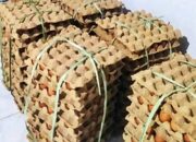 Harga Telur di Momalia Merangkak Naik, Warga dan Pedagang Mulai Rasakan Dampaknya