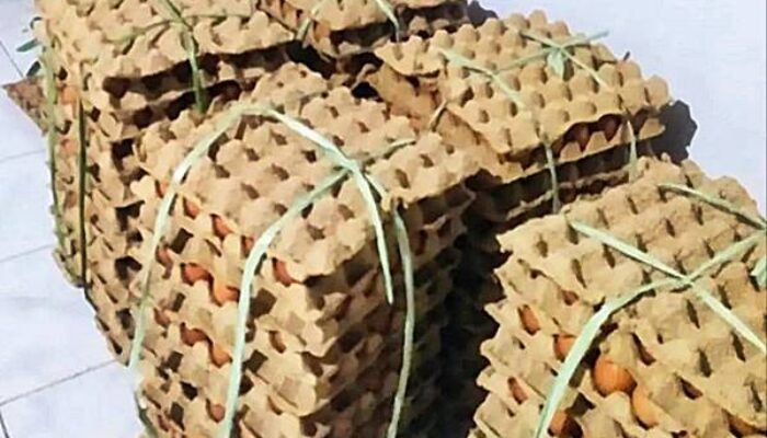Harga Telur di Momalia Merangkak Naik, Warga dan Pedagang Mulai Rasakan Dampaknya