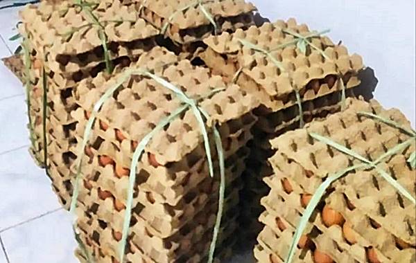 Harga Telur di Momalia Merangkak Naik, Warga dan Pedagang Mulai Rasakan Dampaknya