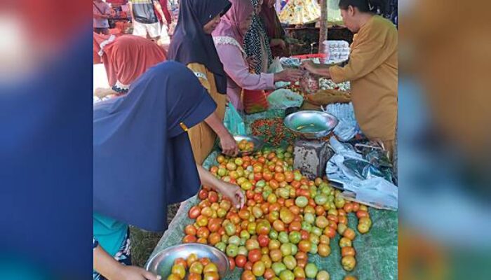 Harga Tomat Melambung di Pasar Meyambanga, Capai Rp. 24 Ribu per Kilogram
