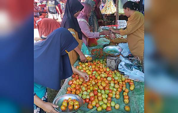 Harga Tomat Melambung di Pasar Meyambanga, Capai Rp. 24 Ribu per Kilogram