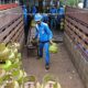 Libur Panjang, Pertamina Patra Niaga Perkuat Stok LPG Subsidi di Seluruh Sulawesi
