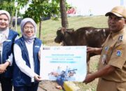 PT Pelindo Sinergi Lokaseva Berbagi Hewan Kurban, Perkuat Kepedulian Sosial dan Dukung Peternak Lokal