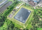 Holding Perkebunan Nusantara Perkuat Transisi Energi Bersih melalui Perdagangan Karbon PTPN IV PalmCo
