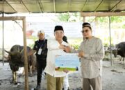 SUCOFINDO Tebar Semangat Berbagi melalui Penyembelihan Kurban Serentak di Seluruh Indonesia