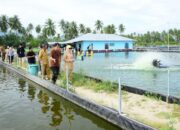 Jelang PENAS XVII, Wagub Idah Pastikan Lokasi Agro dan Perikanan Siap Sambut Peserta Nasional