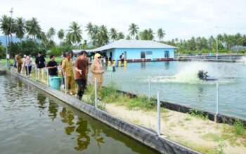 Jelang PENAS XVII, Wagub Idah Pastikan Lokasi Agro dan Perikanan Siap Sambut Peserta Nasional