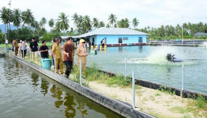 Jelang PENAS XVII, Wagub Idah Pastikan Lokasi Agro dan Perikanan Siap Sambut Peserta Nasional