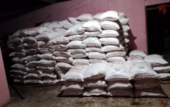 Pemprov Gorontalo Percepat Distribusi Pupuk ke Taluditi, Stok Tambahan Segera Tiba