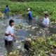 Tak Pilih Privilege, Angga Dambea Cucu Wali Kota Turun Bersihkan Sampah di Sungai Bulango