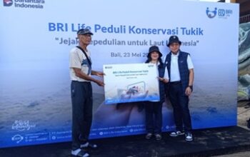 BRI Life Gelar Pelepasan Tukik, Dukung Konservasi Penyu di Pantai Kuta Bali