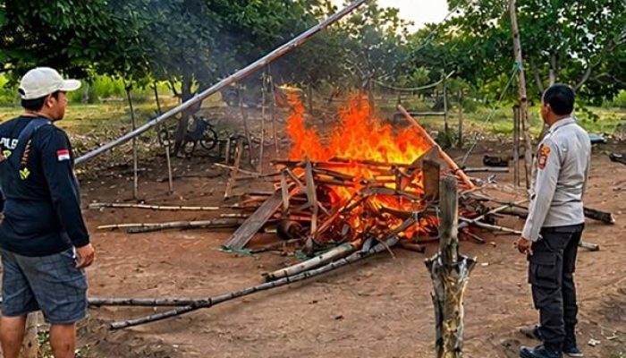Arena Judi Sabung Ayam di Popayato Dibongkar dan Dibakar Polisi