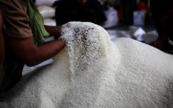 Harga Beras Termahal Nasional, Pernyataan Pejabat Pemprov dengan Bulog Malah Berseberangan