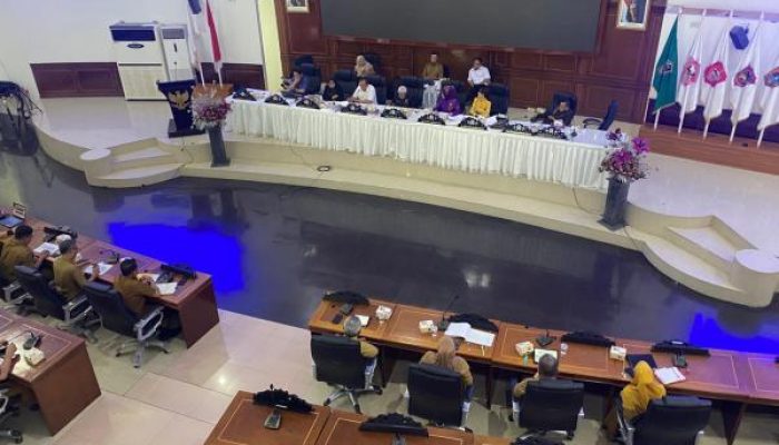 Komisi IV Deprov Tekankan Penguatan SDM Kesehatan di RS Ainun
