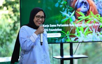 Mengaku Dapat teror, Kepala BGN Mendadak Mundur