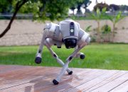 Robot Unitree Go2 untuk Edutainment dan Interaksi Publik